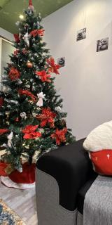 Ana Lux Apartments Brasov - 6