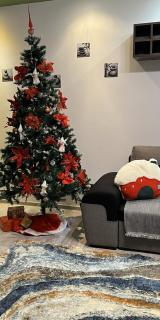 Ana Lux Apartments Brasov - 5