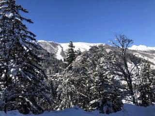 Résidence Cheval Noir - Le Cheval Noir 9 - 2 pièces joliment rénové avec terrasse MAE-5584 - Valmorel - 9