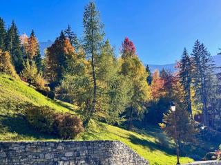 Résidence Cheval Noir - Le Cheval Noir 9 - 2 pièces joliment rénové avec terrasse MAE-5584 - Valmorel - 8