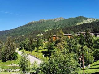 Résidence Terrasse - La Terrasse 32 - Joli 2 pièces, proche pistes et rue piétonne MAE-5014 - Valmorel - 1