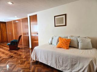 E Depa México one street away from Reforma Embajadas - 8