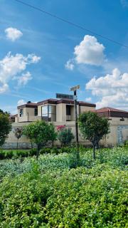 Paradiso Palazzo - 1