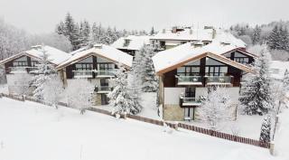 Dreaming apartment with tree Mountain view - 2