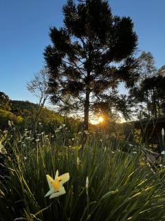 Chalé Rio Capetinga - 1
