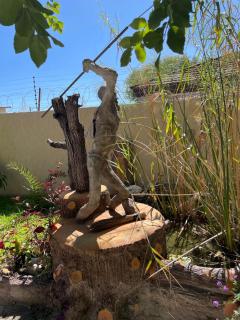 Ngami Gates Boutiqúe Guesthouse - 4