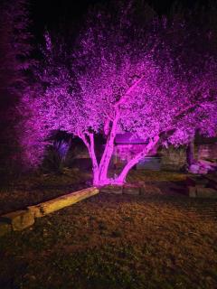 Maison d'hôte Mas de Castille entre Uzès et le pont du Gard - 5