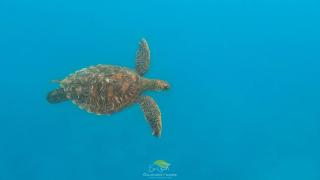 Carliza Nature Lodge - 8