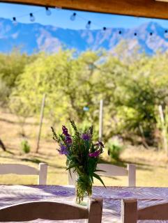 Glamping Traslasierra Carpa Sur - 6