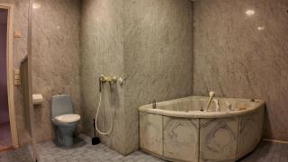 Arctic Luxe Retreat - 1