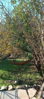 חכורה קדיתה - 3