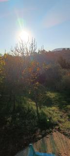 חכורה קדיתה - 4