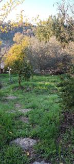 חכורה קדיתה - 6