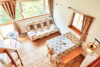 Résidence Le Soliet 1 - Appartement 2 pièces mezzanine - 6 personnes MAE-2013 - 1