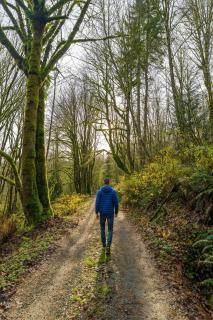 Postcard Cabins Skagit Valley, Outdoor Collection by Marriott Bonvoy - 7