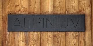 Chalet Alpinium - Chalets pour 14 Personnes MAE-4203 - 6