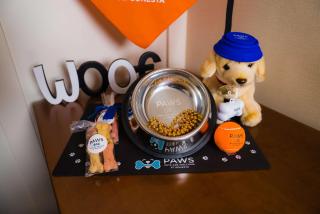 Sonesta Simply Suites Phoenix Glendale - Phoenix - 3