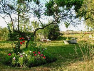 Cozy Apartment In Villa Near Pillnitzer Schloss - 9