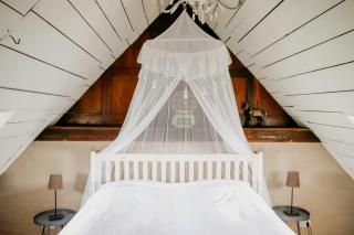 Cozy Apartment In Villa Near Pillnitzer Schloss - 8