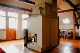 Cozy Apartment In Villa Near Pillnitzer Schloss - 5