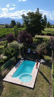 Casa Rural entre Bodegas y Viñedos ' El Jarillal" - 8