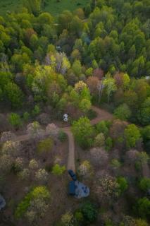 Postcard Cabins Barber Creek, Outdoor Collection by Marriott Bonvoy - 7