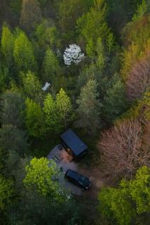 Postcard Cabins Barber Creek, Outdoor Collection by Marriott Bonvoy - 6