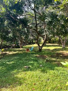 Casa Rural Los Almendros - Tarcoles - 5