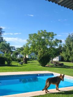 Aires Nuevos Ramallo - 7