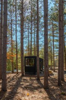 Postcard Cabins Wild Rose, Outdoor Collection by Marriott Bonvoy - 9