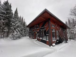 The Sculptural Nature Escape, hot tub, Billiards - 7