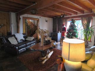 Hostal Entre Termas y Lagos - 4