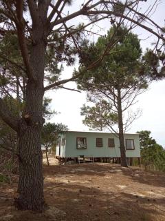 Portones de la Viuda - 1