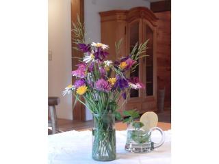 III in the Anton house - 4