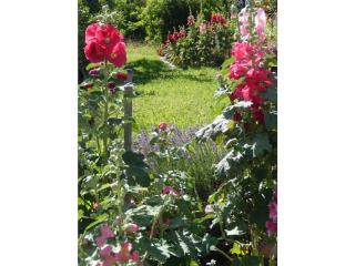 III in the Anton house - 7