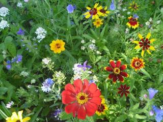 Holiday apartment with 2 bedrooms - 5