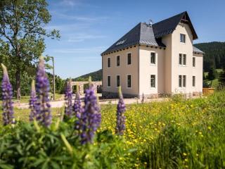 Old Forester's Lodge Wildenthal - App 5 - 8