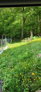 Vista & Ruins - Forest Lodge In Breathtaking Scenery - 7