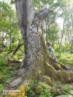 Vista & Ruins - Forest Lodge In Breathtaking Scenery - 6