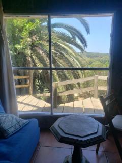 QinLing en playa hermosa y playa verde - 3