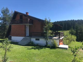 Mountain resort house - Planinska vikendica - 0
