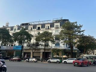 Sen Vàng 301TM3 - 9