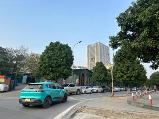 Hạc vàng 304MD - 8