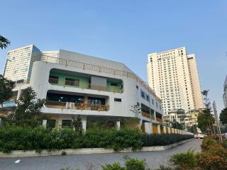 Golden Glow 406TM1 - 9