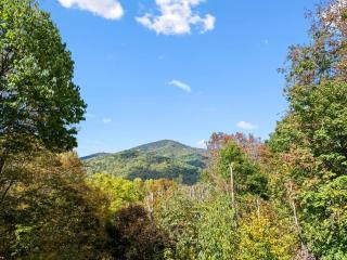 Bella Vita - Pet Friendly Cabin - 1