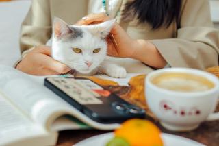 木心居南门机场大巴店Muxin INN - 8