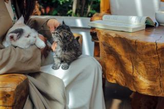 木心居南门机场大巴店Muxin INN - 2