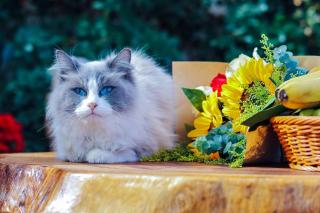 木心居南门机场大巴店Muxin INN - 7