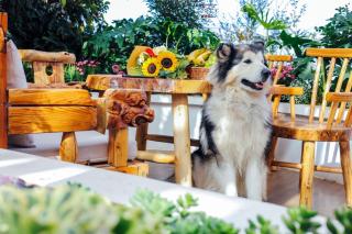 木心居南门机场大巴店Muxin INN - 9