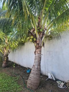 Casa de Playa Elsa - 1